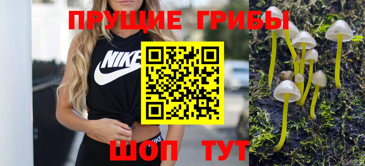 Псилоцибиновые грибы мицелий Нефтеюганск